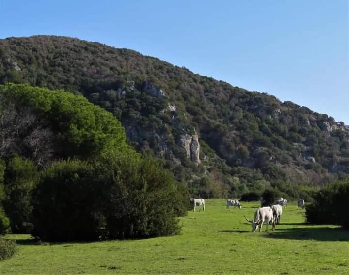 Hotel B&B Rispescia Grosseto Kültér fotó