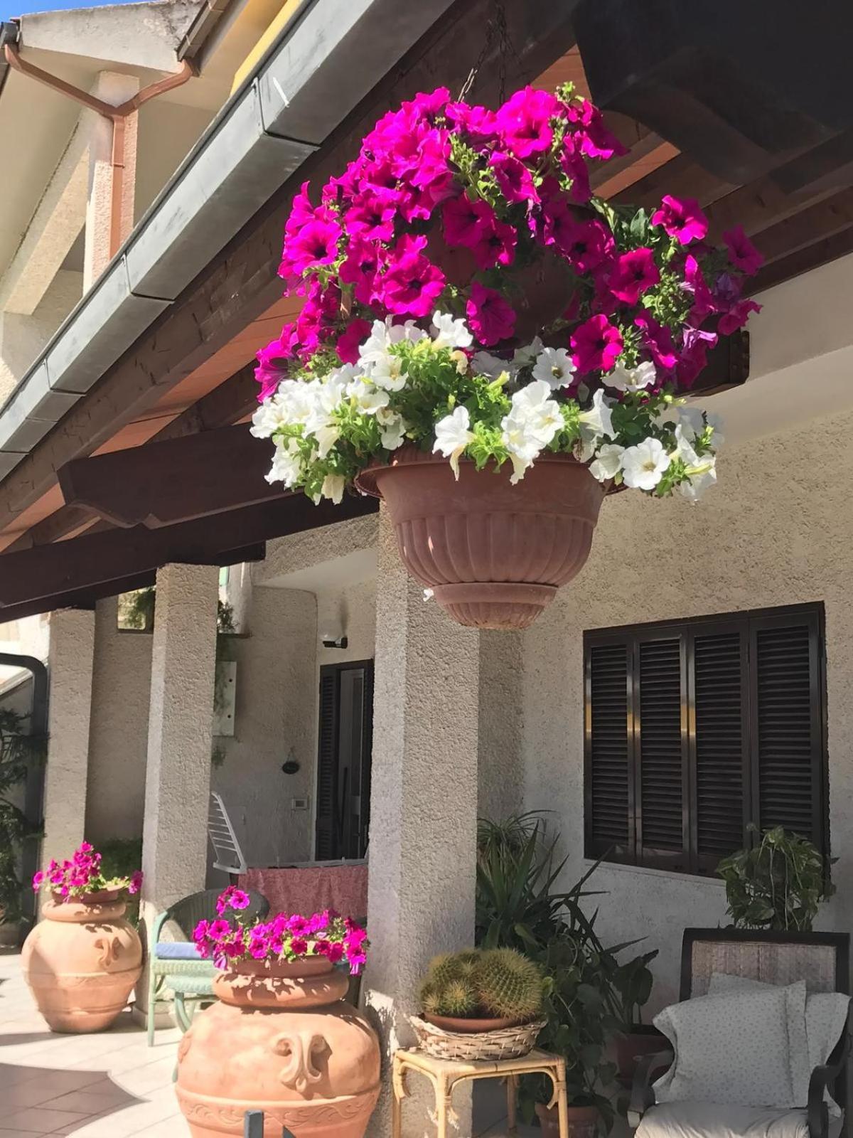 Hotel B&B Rispescia Grosseto Kültér fotó