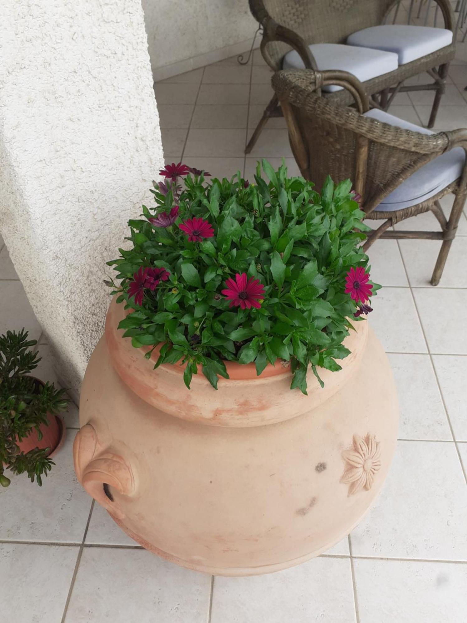 Hotel B&B Rispescia Grosseto Kültér fotó