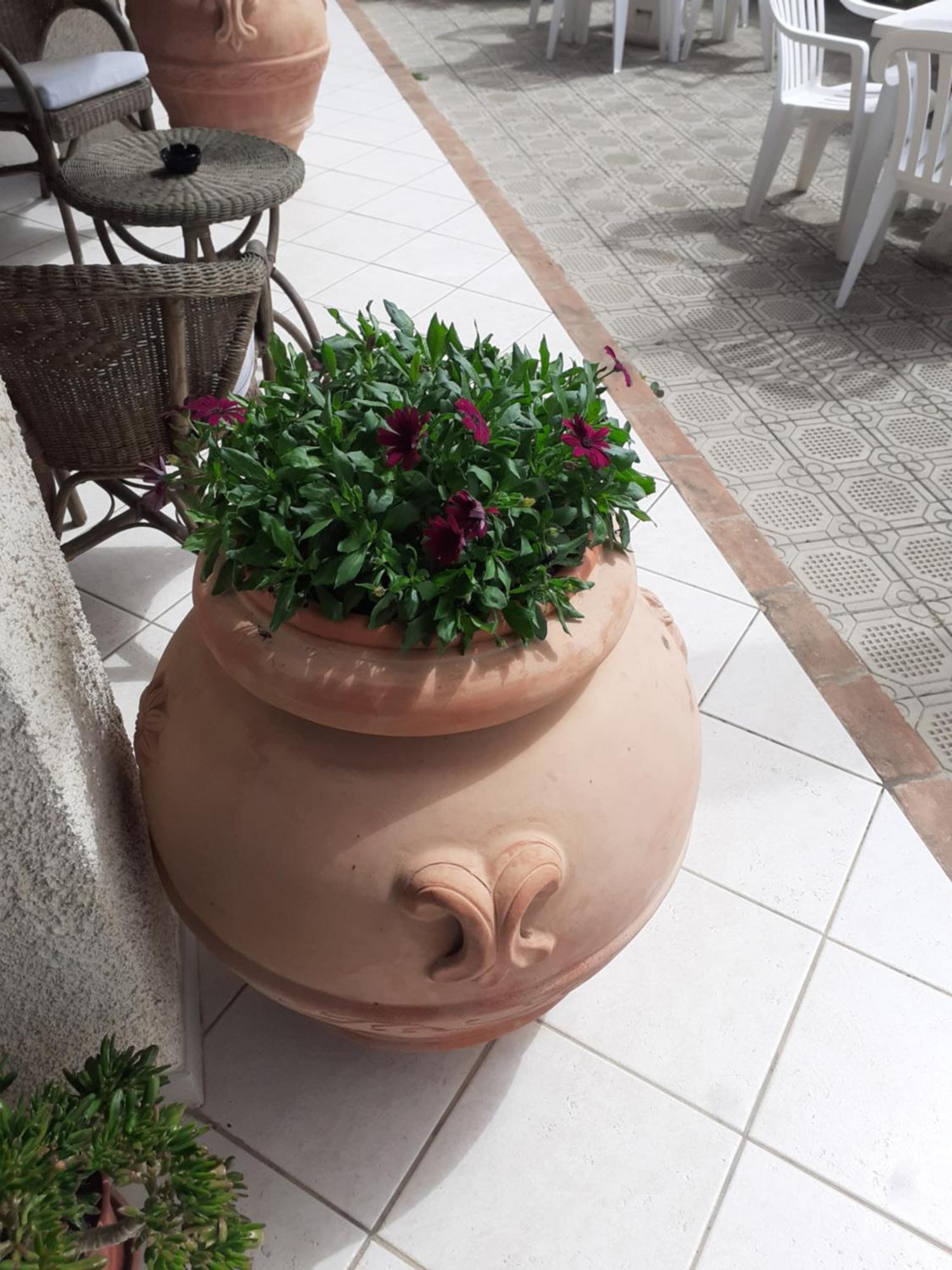 Hotel B&B Rispescia Grosseto Kültér fotó