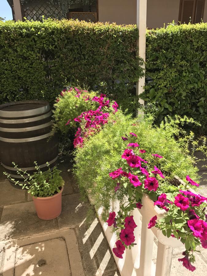 Hotel B&B Rispescia Grosseto Kültér fotó