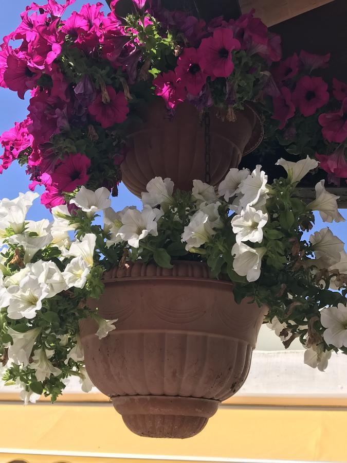Hotel B&B Rispescia Grosseto Kültér fotó