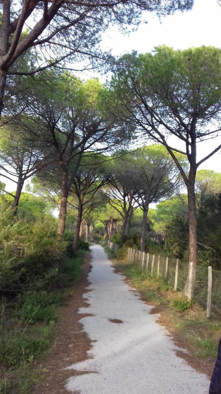 Hotel B&B Rispescia Grosseto Kültér fotó